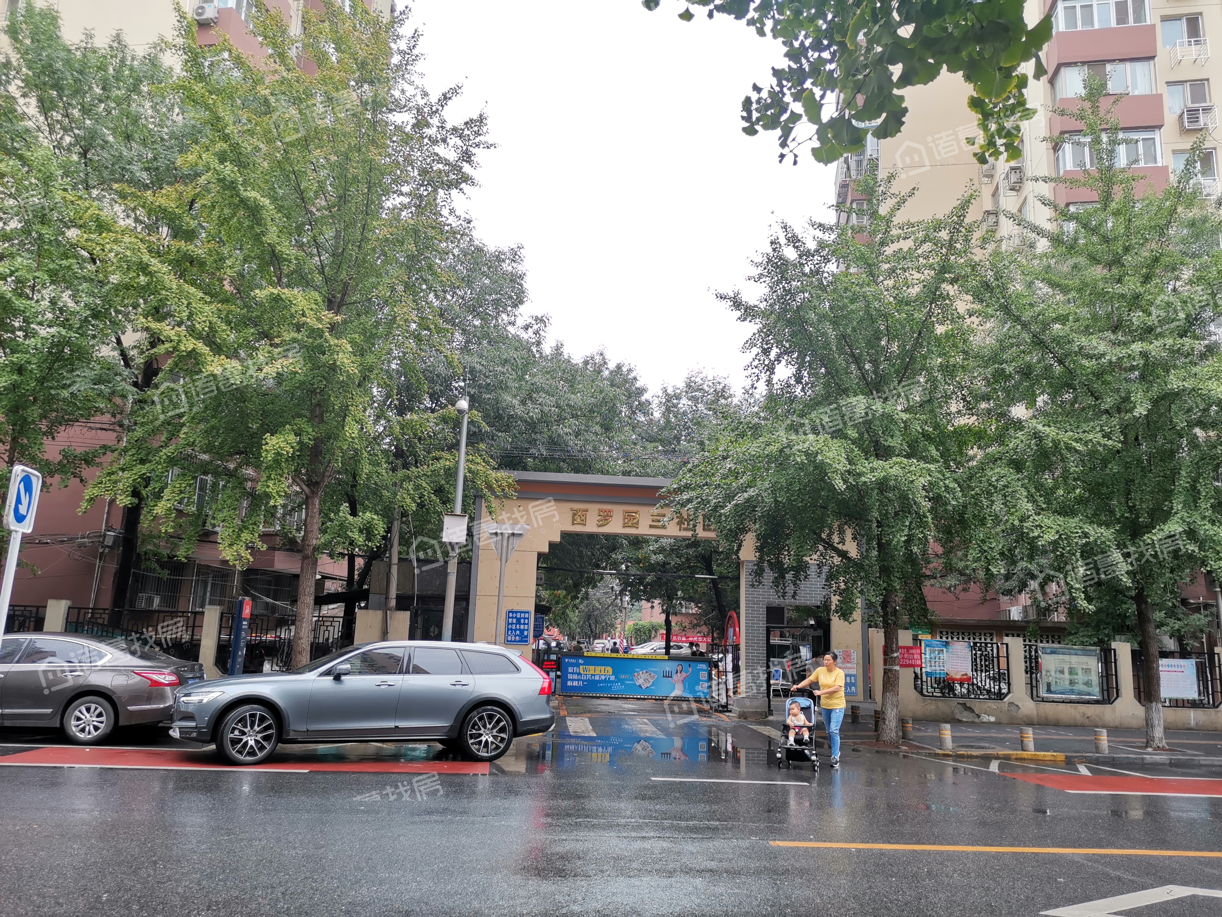 西罗园三区