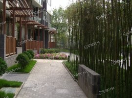 福建新村