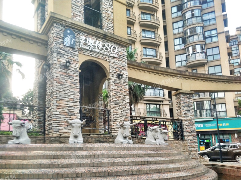 迪赛奥林80