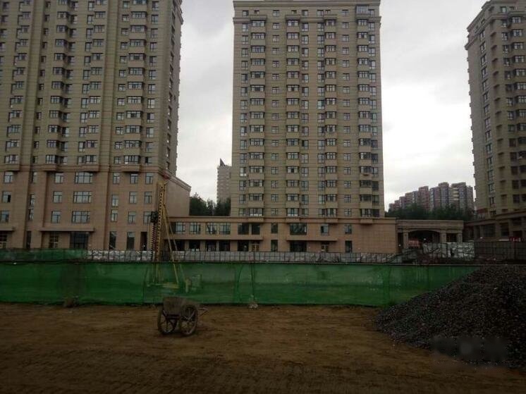 西城国际
