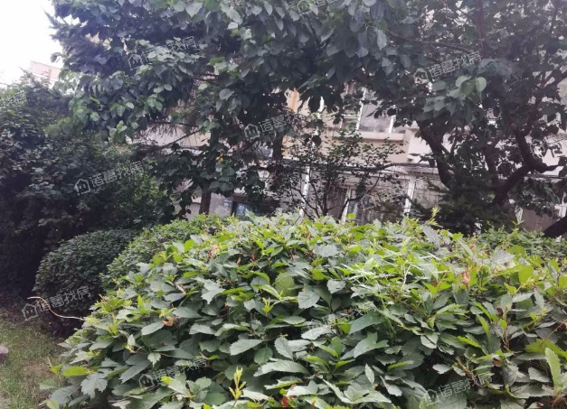 西四小区