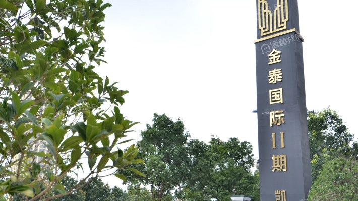 金泰国际