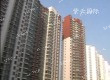 紫云国际