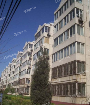玉桥东里