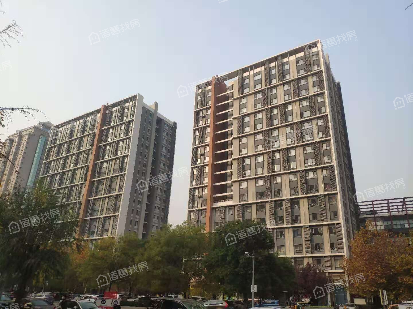 爱这城