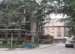 青城楼