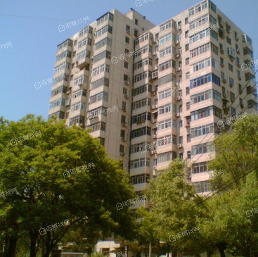 高家园四区