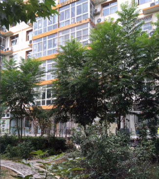 平谷大街59号院