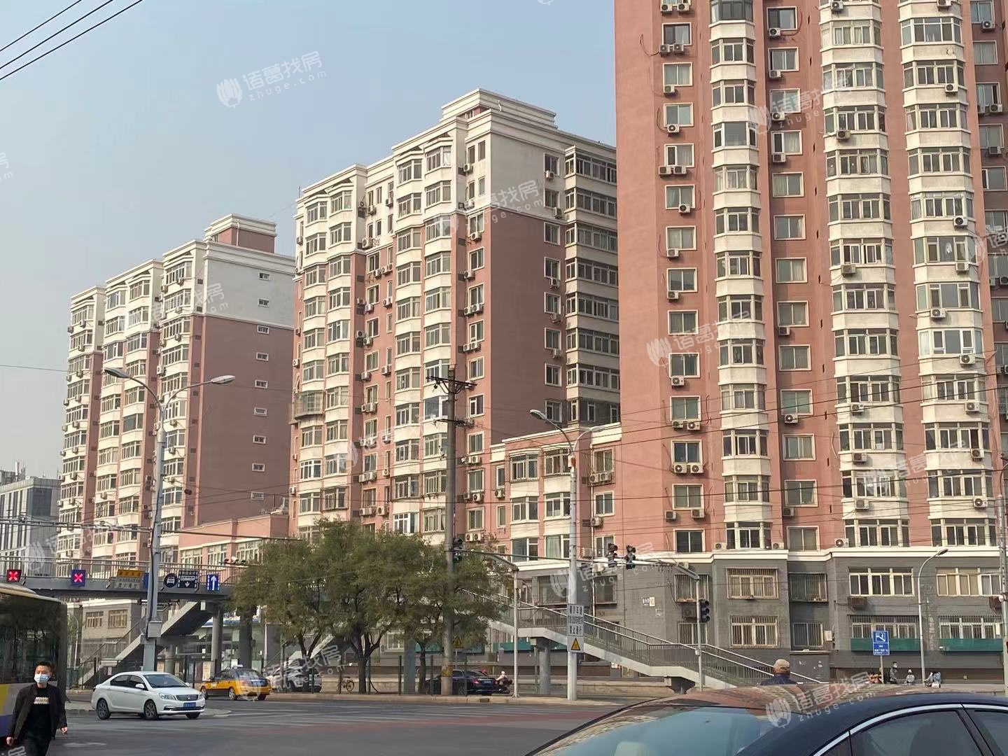 金台里