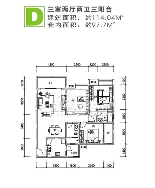 金杜洋光