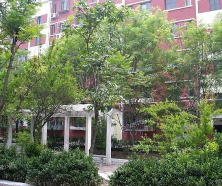 丰南103小区