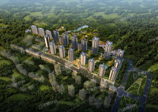 鲁能星城十街区