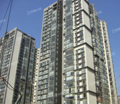 特区808小区