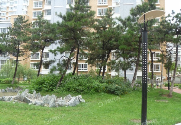 一汽43街区