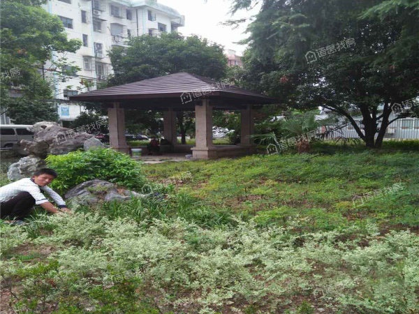 翠中社区