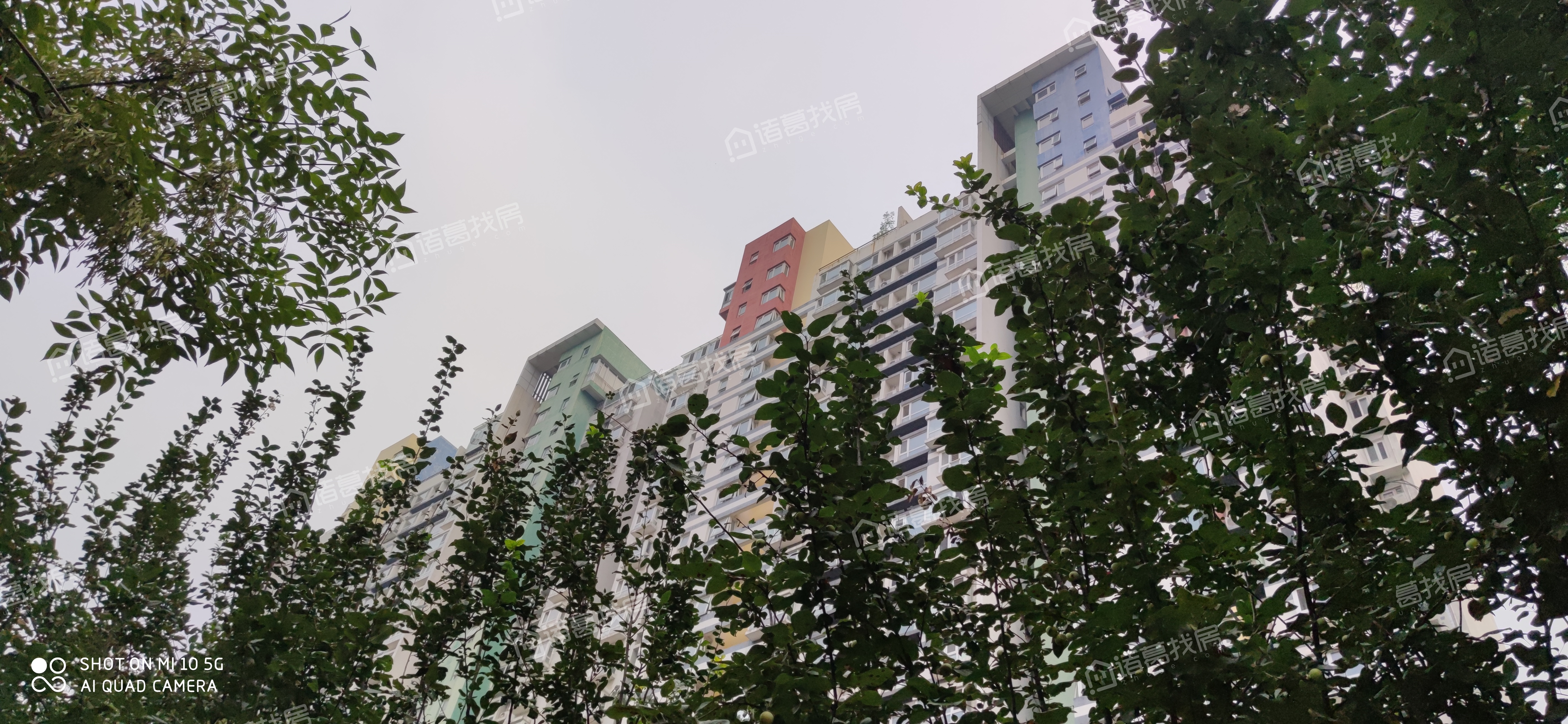 宝星园