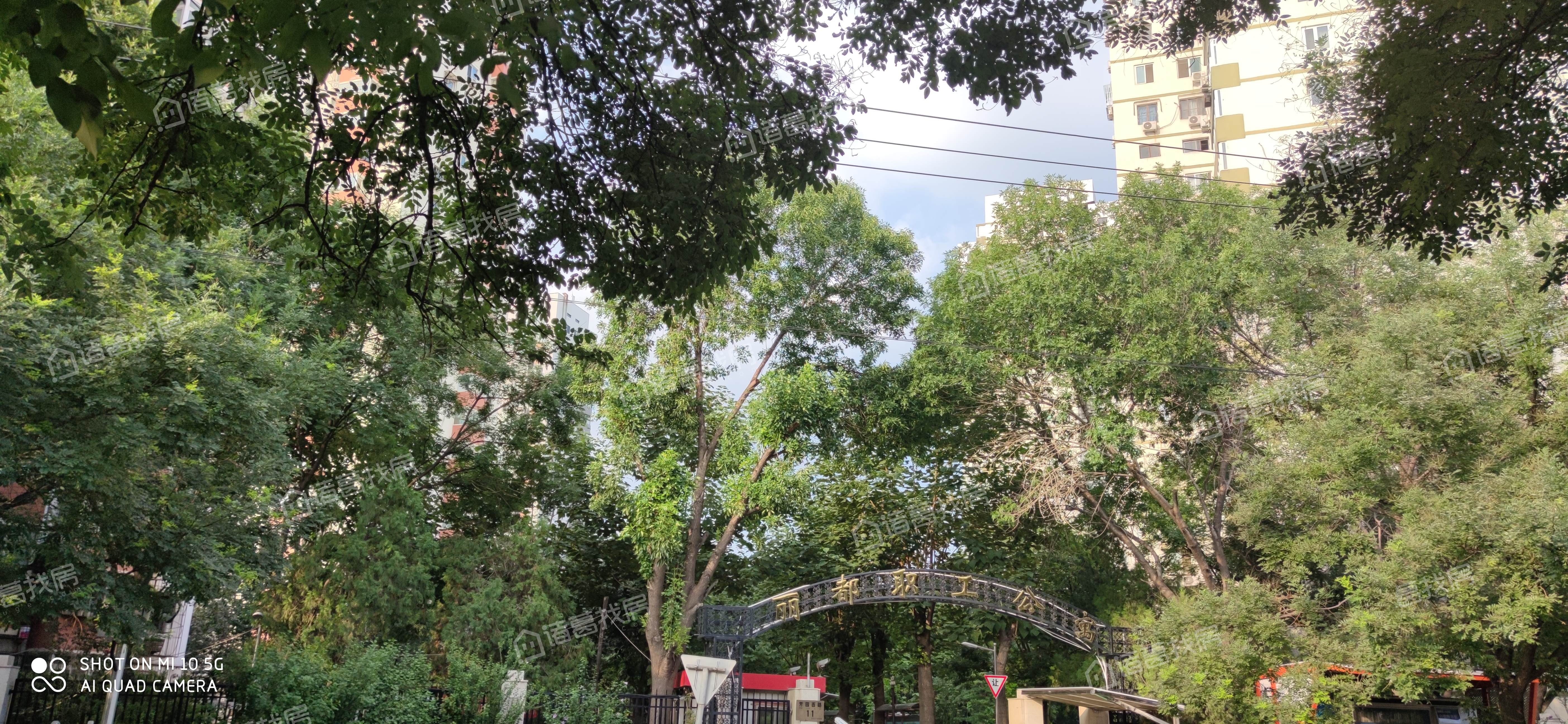 丽都职工宿舍
