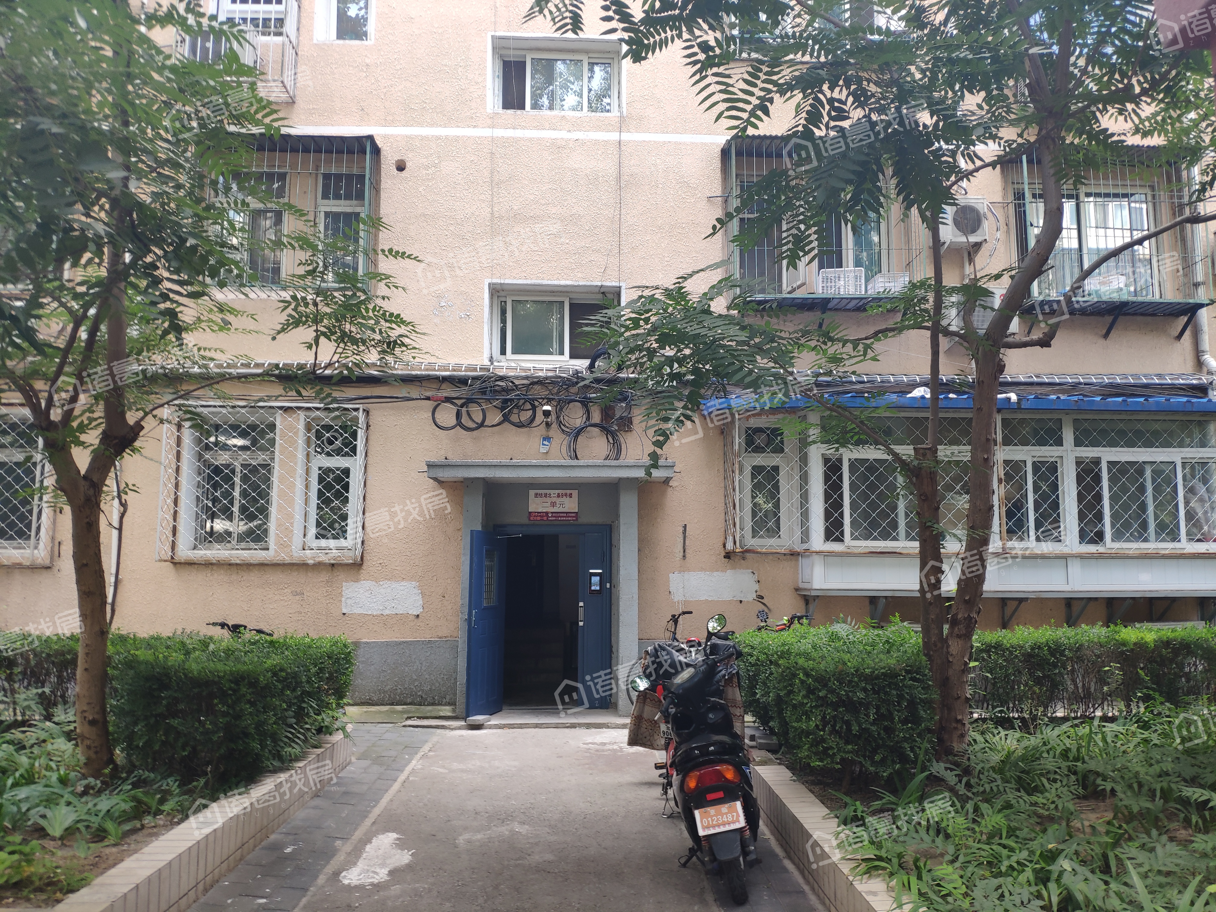 团结湖中路南一条