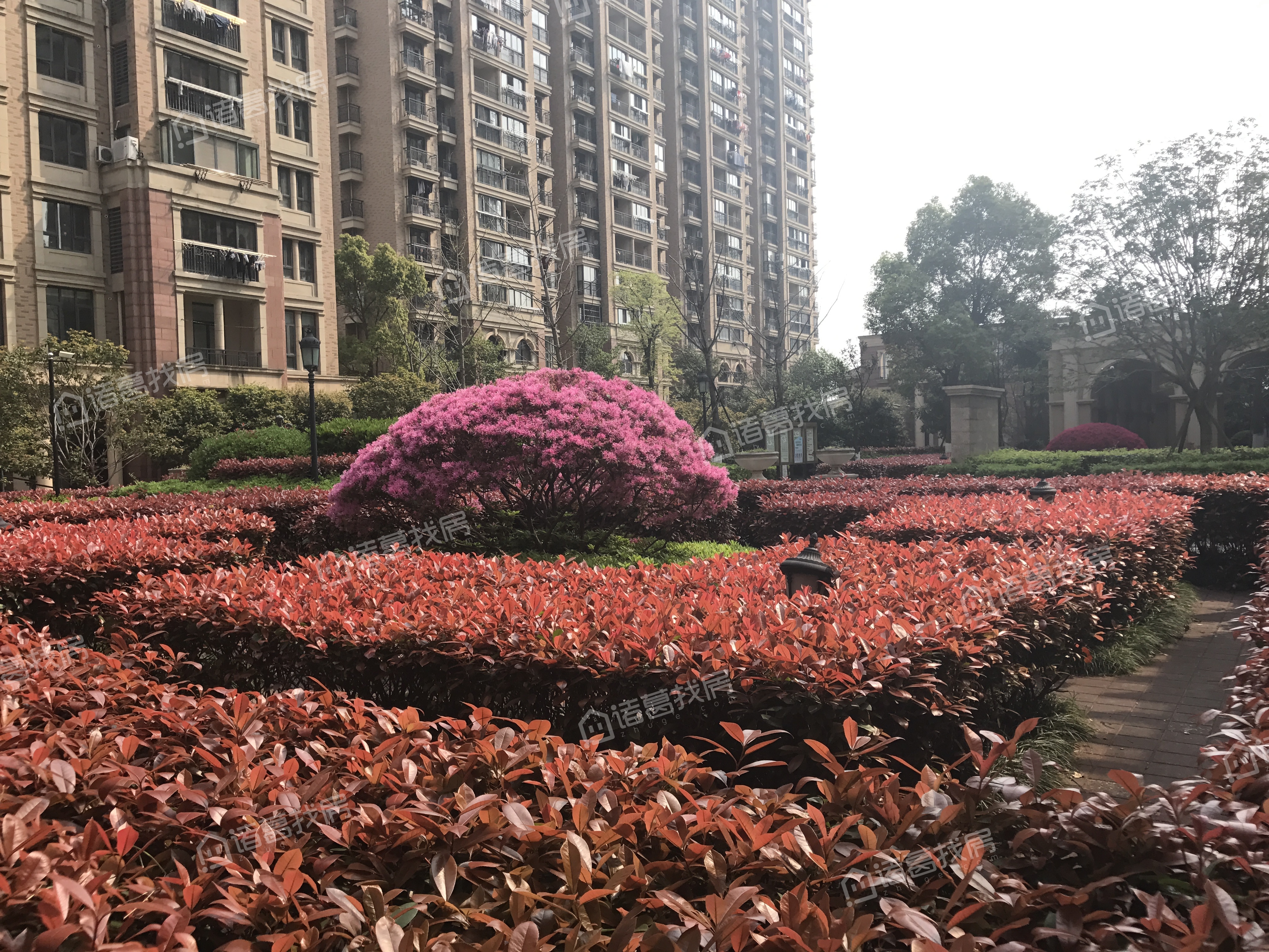 奥丽赛凤凰水岸