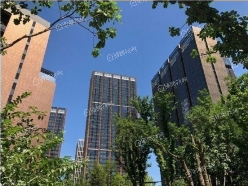 国锐金嵿
