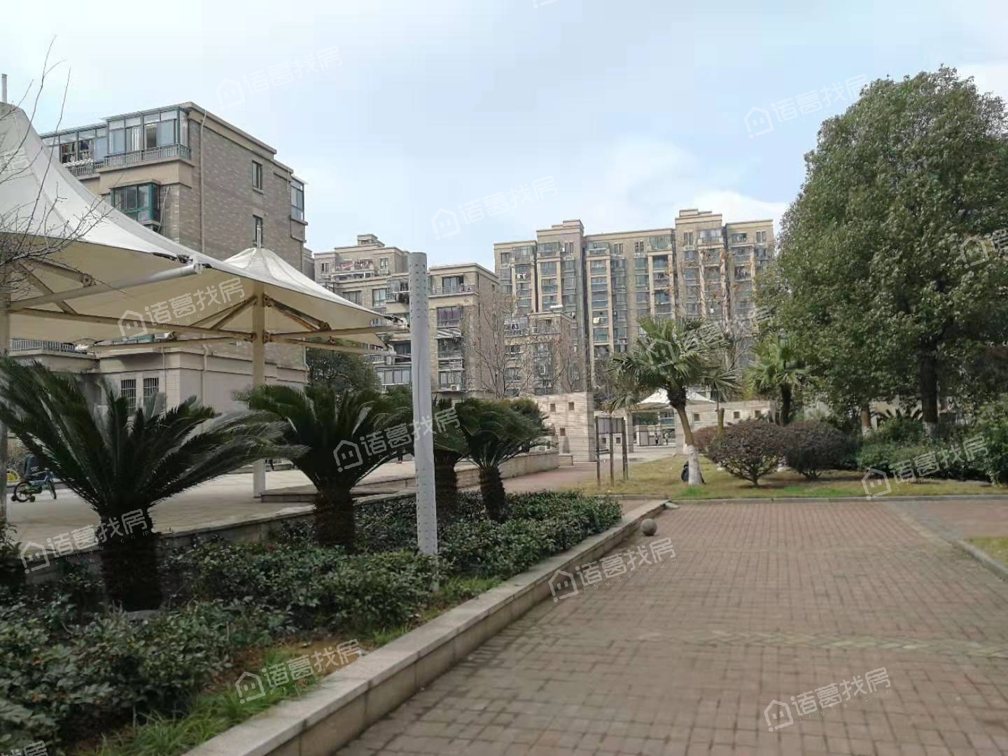 小骆花园