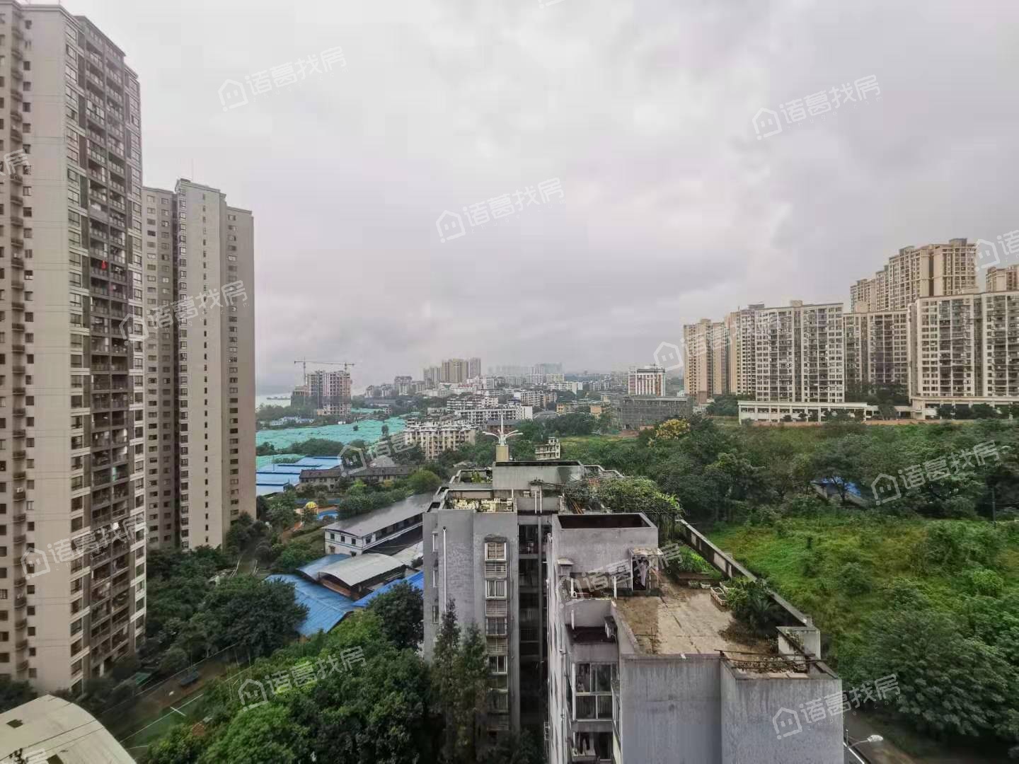 龙洲湾黄桷佳园