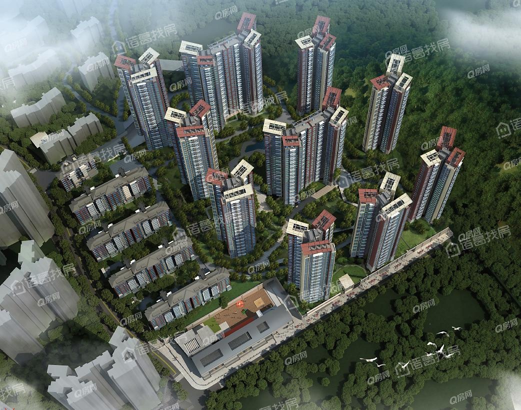 惠州星河丹堤别墅