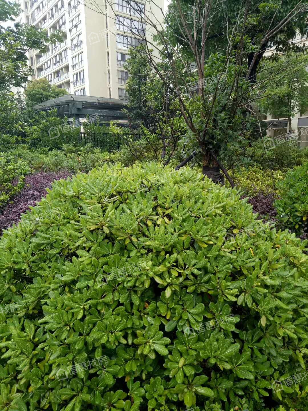 梅江北苑