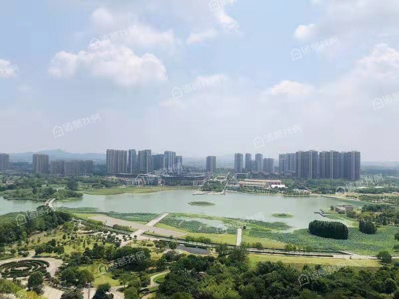 禹洲弘阳滨湖里