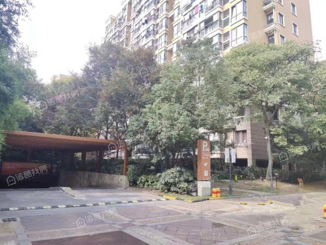 都市森林一期