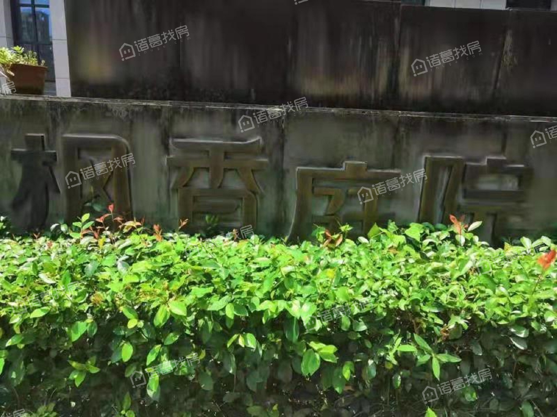 梅龙枫香庭院