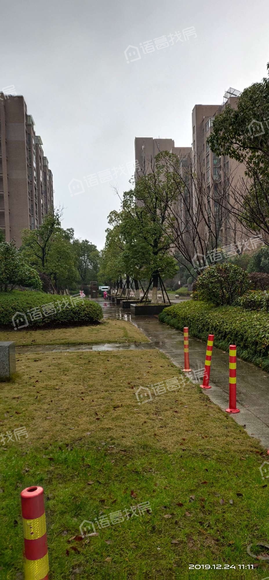柳岸晨韵