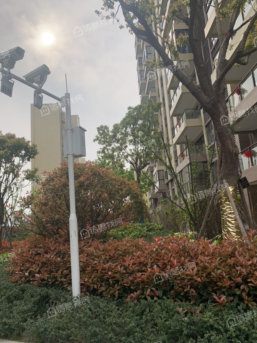 碧桂园碧玥府
