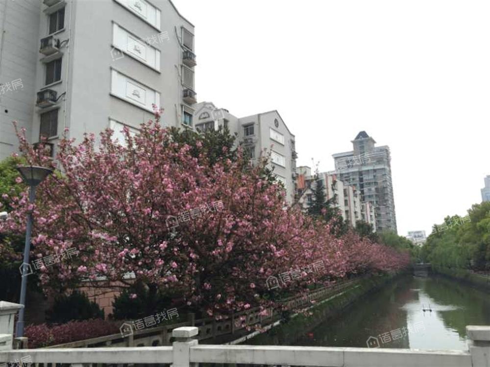 海关柳庄小区