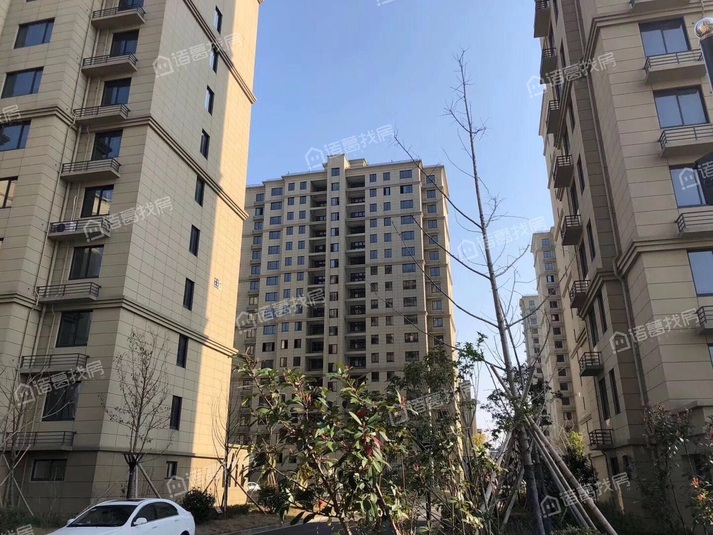 香榭丽舍