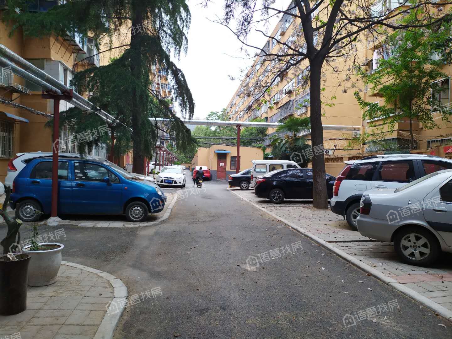 绿东村1号院