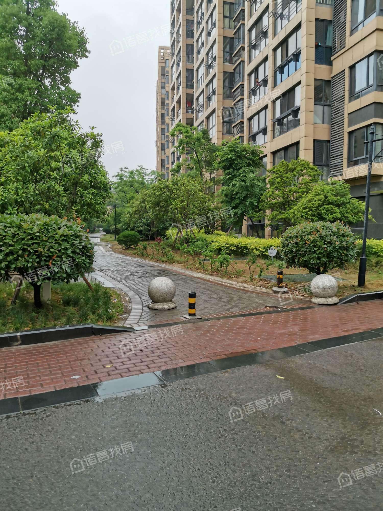香树湾南区