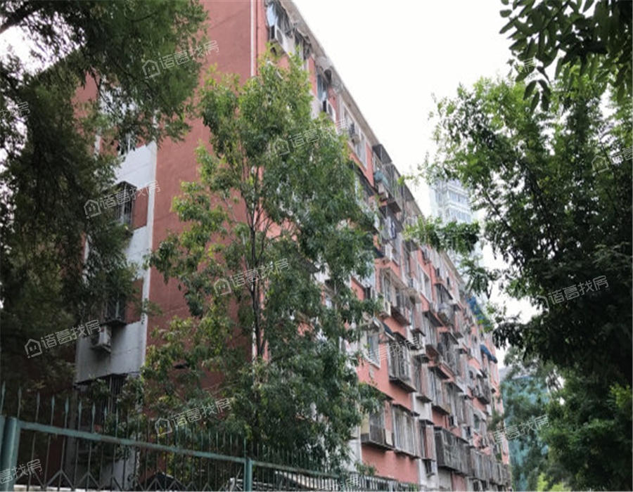 团结湖中路南二条