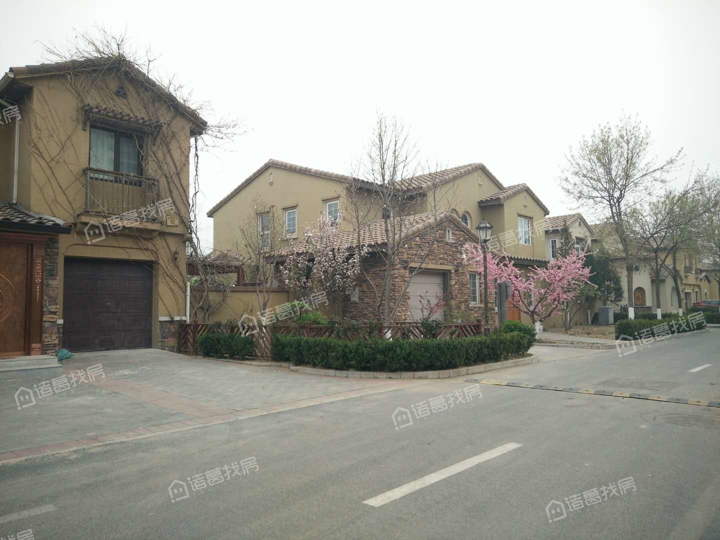 棉花城