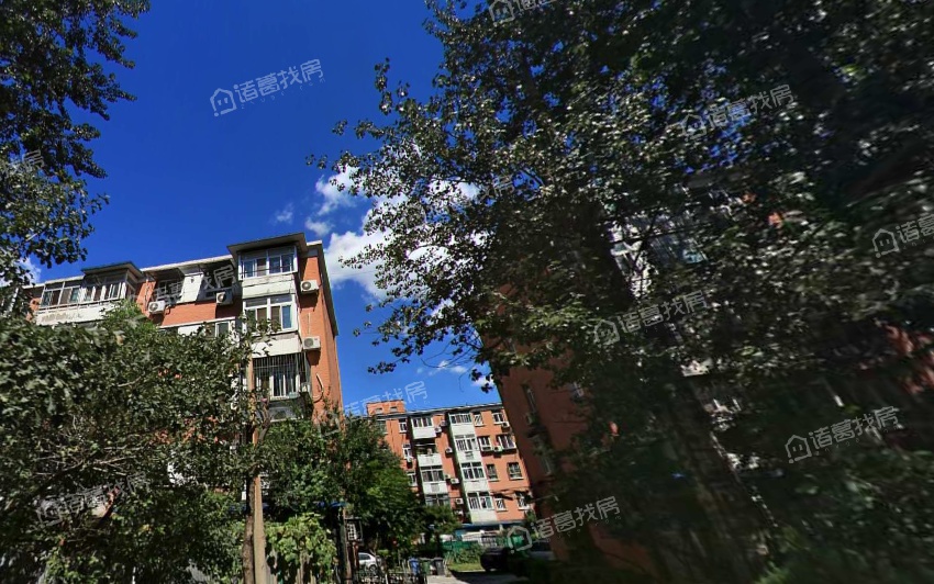 理工大学附中家属楼