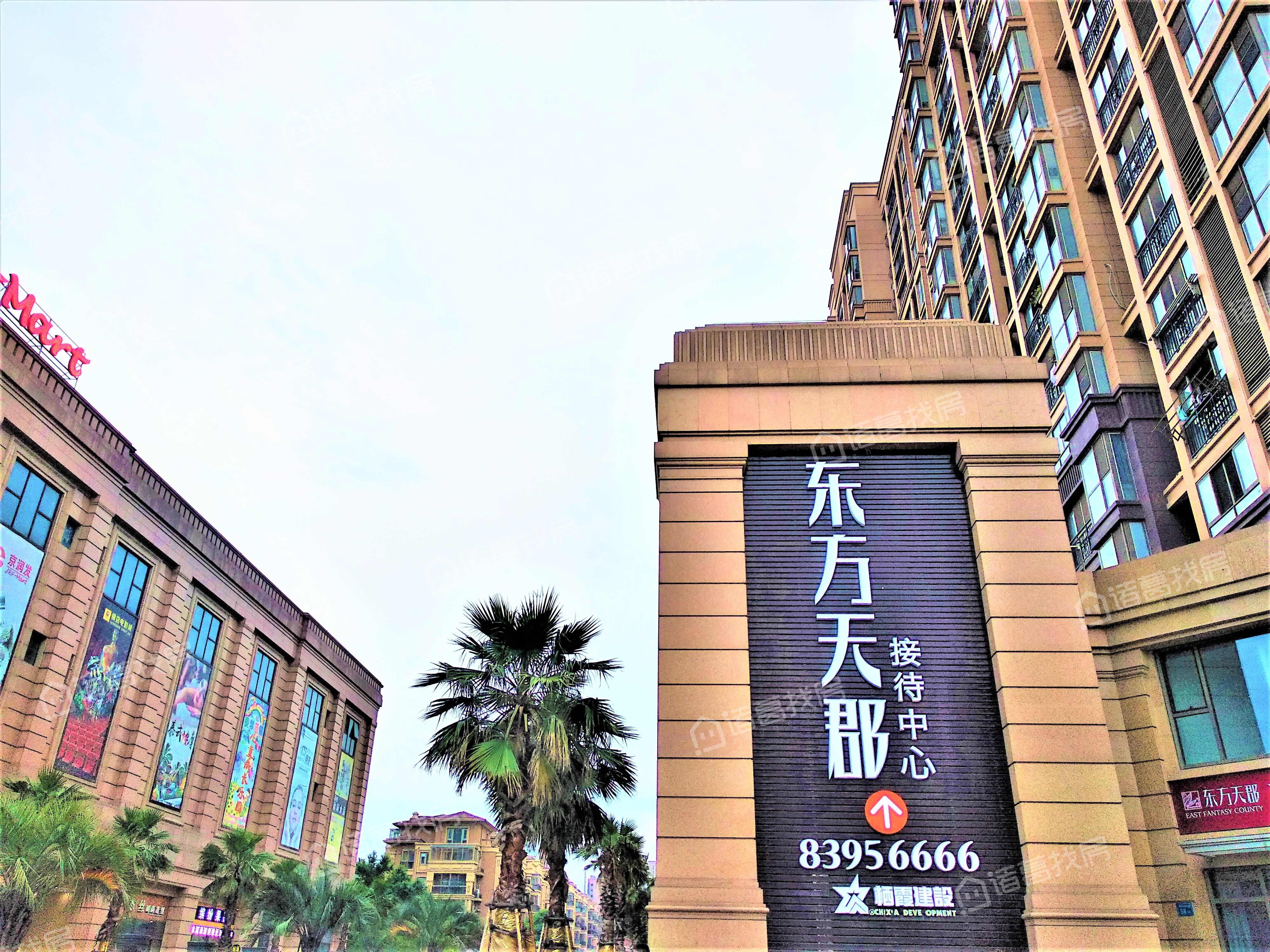 东方天郡三期