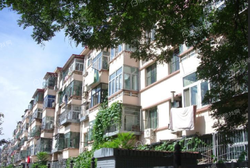 建新北区