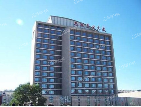 龙冠置业大厦