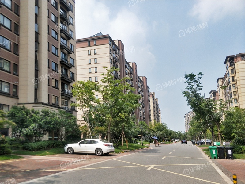 中海阳光玫瑰园 