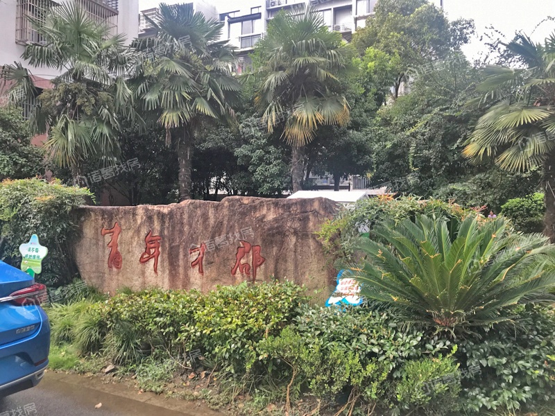青年才郡