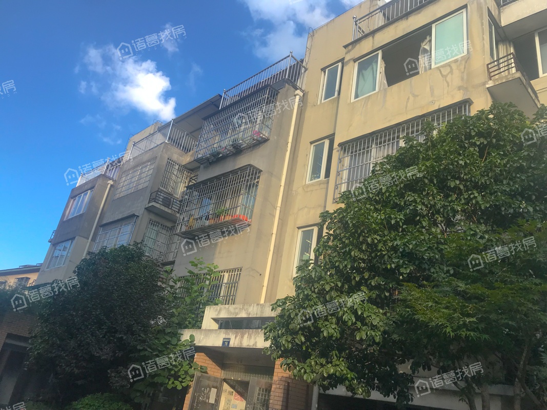 春光小区