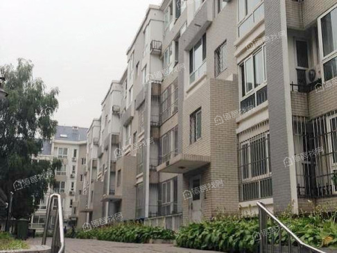 八一中学家属院