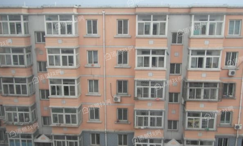 崔村教师楼