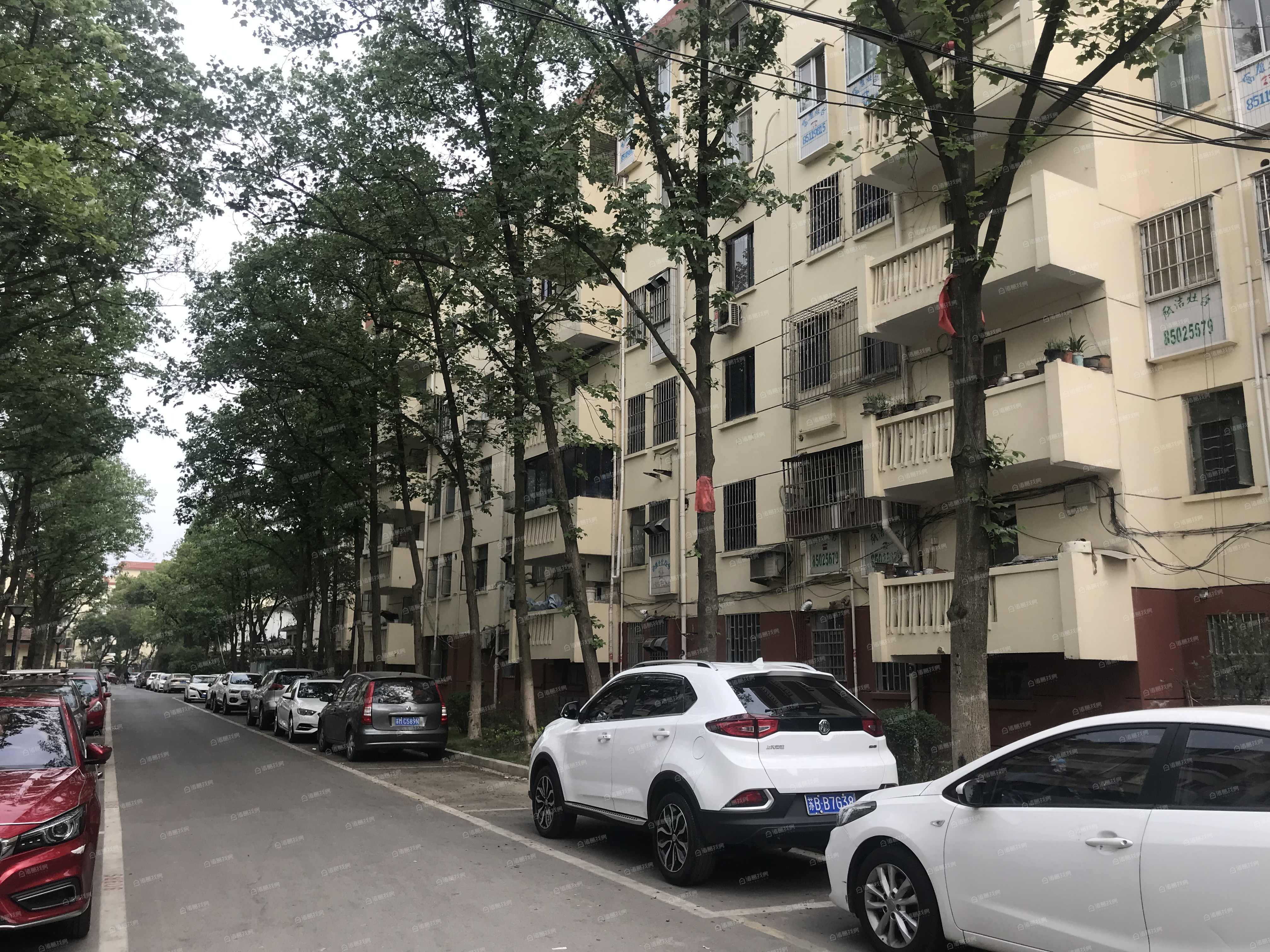 沁园新村800-816号