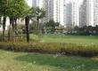 广汇园